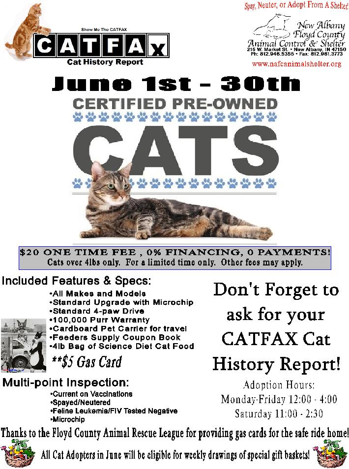 pre loved pets near me