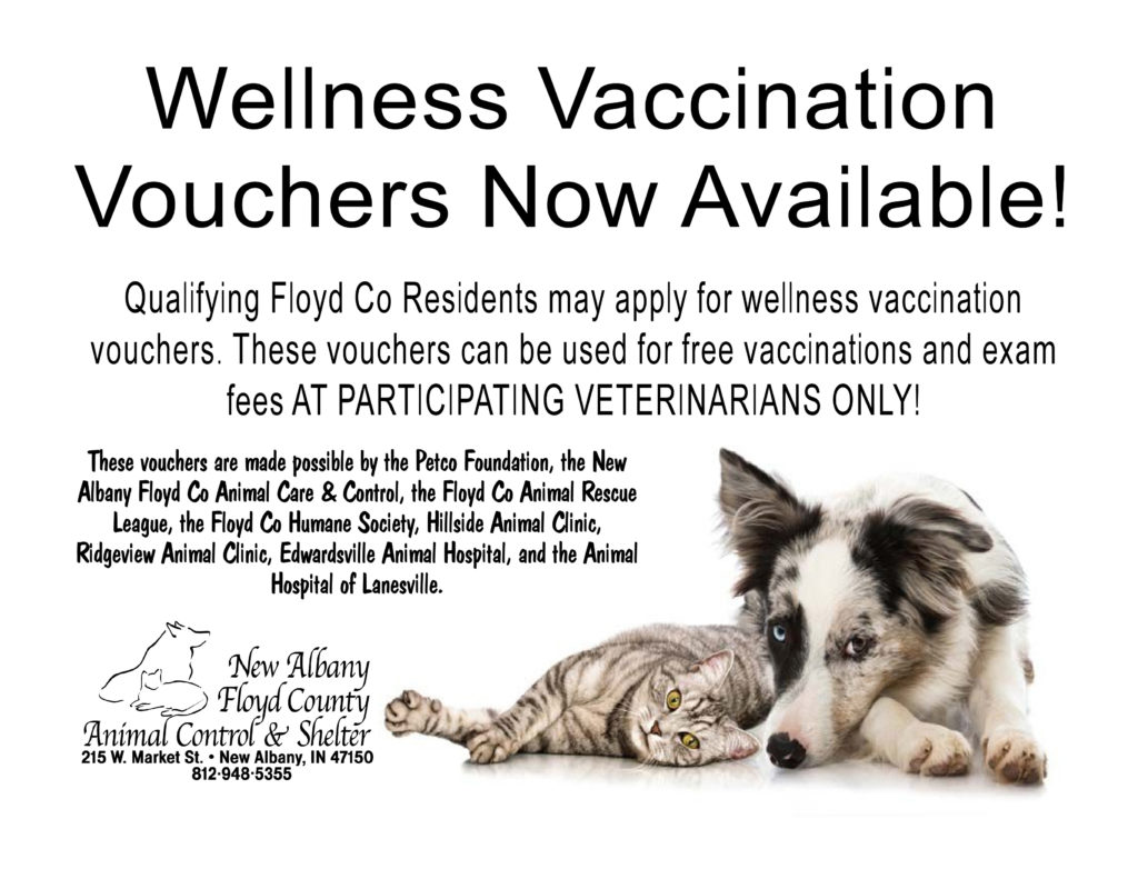 Low Cost Spay Neuter And Medical Services New Albany Floyd County Animal Shelter