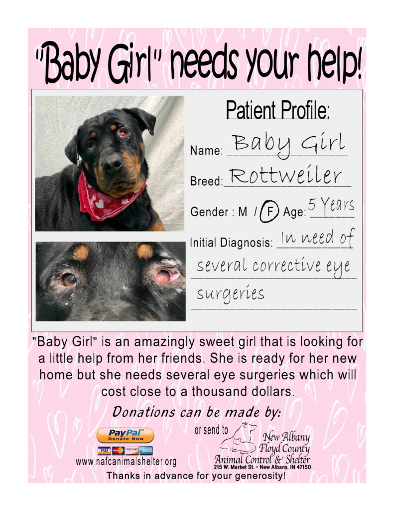 Baby Girl needs help! - New Albany/Floyd County Animal Shelter