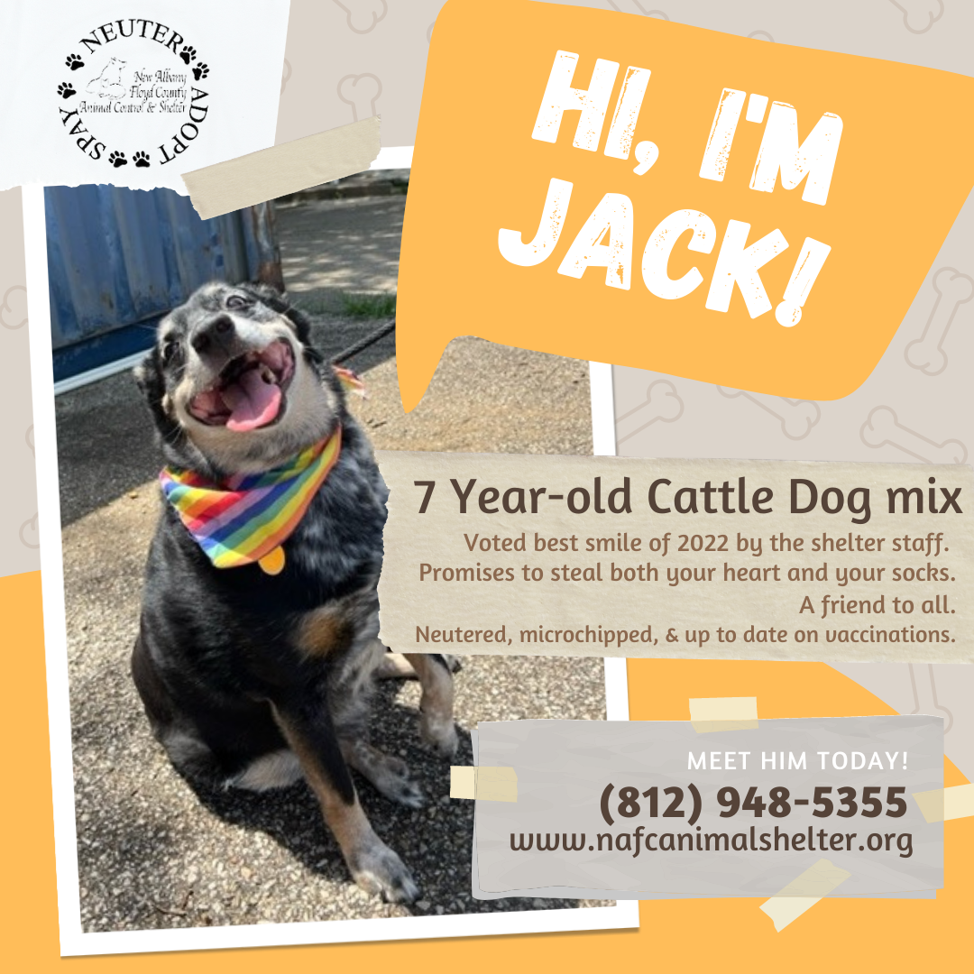 Hit the road, Jack! - New Albany/Floyd County Animal Shelter