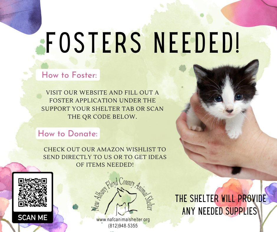Fosters Needed! - New Albany/Floyd County Animal Shelter